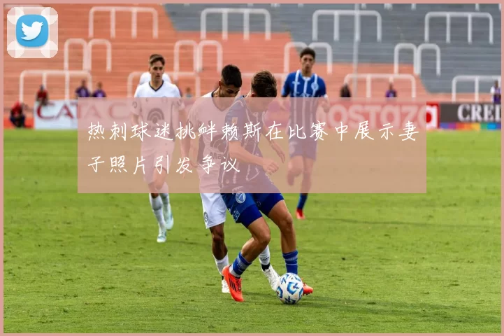 热刺球迷挑衅赖斯在比赛中展示妻子照片引发争议