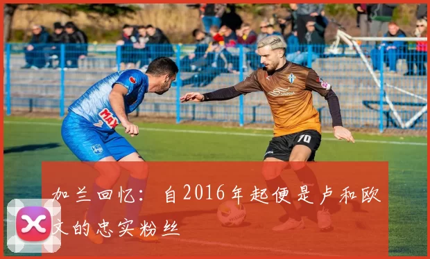 加兰回忆：自2016年起便是卢和欧文的忠实粉丝